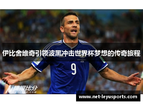 伊比舍维奇引领波黑冲击世界杯梦想的传奇旅程 伊比舍维奇引领波黑冲击世界杯梦想的传奇旅程