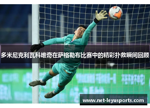 多米尼克利瓦科维奇在萨格勒布比赛中的精彩扑救瞬间回顾 多米尼克利瓦科维奇在萨格勒布比赛中的精彩扑救瞬间回顾