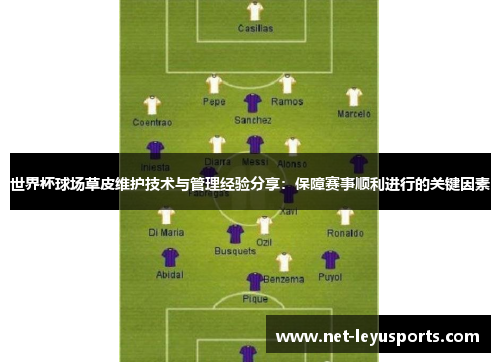 世界杯球场草皮维护技术与管理经验分享:保障赛事顺利进行的关键因素 世界杯球场草皮维护技术与管理经验分享:保障赛事顺利进行的关键因素