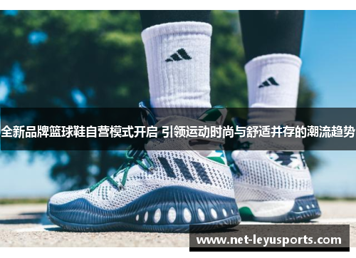 全新品牌篮球鞋自营模式开启 引领运动时尚与舒适并存的潮流趋势 全新品牌篮球鞋自营模式开启 引领运动时尚与舒适并存的潮流趋势