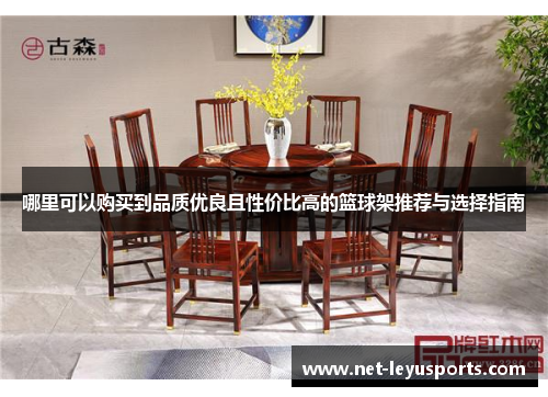 哪里可以购买到品质优良且性价比高的篮球架推荐与选择指南