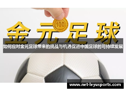 如何应对金元足球带来的挑战与机遇促进中国足球的可持续发展 如何应对金元足球带来的挑战与机遇促进中国足球的可持续发展