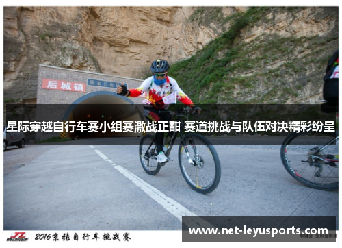 星际穿越自行车赛小组赛激战正酣 赛道挑战与队伍对决精彩纷呈