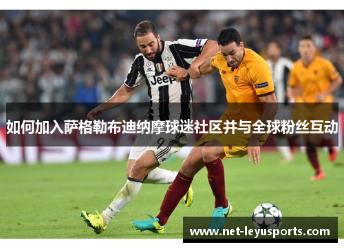 如何加入萨格勒布迪纳摩球迷社区并与全球粉丝互动 如何加入萨格勒布迪纳摩球迷社区并与全球粉丝互动