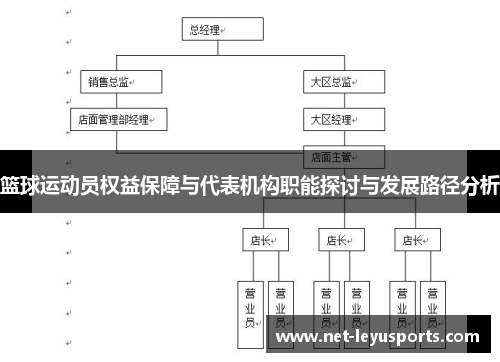 篮球运动员权益保障与代表机构职能探讨与发展路径分析 篮球运动员权益保障与代表机构职能探讨与发展路径分析