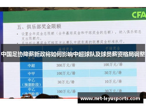 中国足协降薪新政将如何影响中超球队及球员薪资格局调整 中国足协降薪新政将如何影响中超球队及球员薪资格局调整