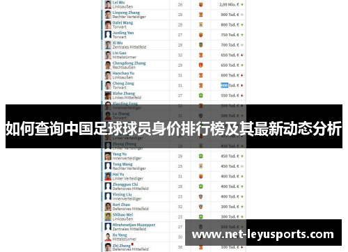 如何查询中国足球球员身价排行榜及其最新动态分析 如何查询中国足球球员身价排行榜及其最新动态分析
