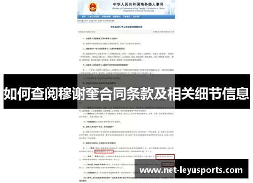 如何查阅穆谢奎合同条款及相关细节信息 如何查阅穆谢奎合同条款及相关细节信息