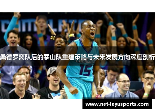 桑德罗离队后的泰山队重建策略与未来发展方向深度剖析