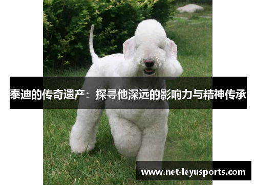 泰迪的传奇遗产:探寻他深远的影响力与精神传承 泰迪的传奇遗产:探寻他深远的影响力与精神传承