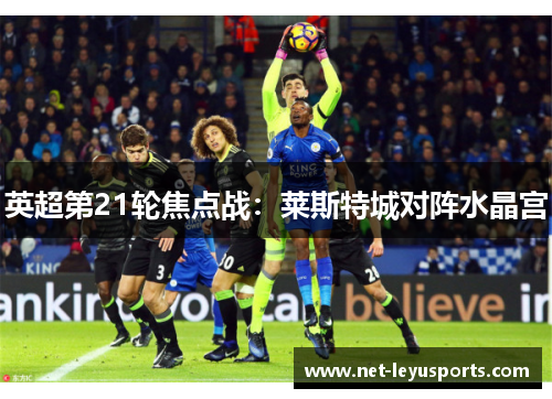 英超第21轮焦点战:莱斯特城对阵水晶宫 英超第21轮焦点战:莱斯特城对阵水晶宫