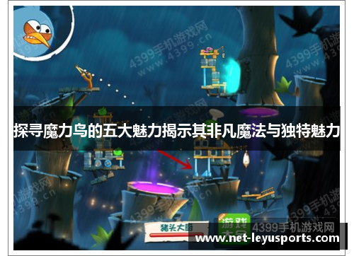 探寻魔力鸟的五大魅力揭示其非凡魔法与独特魅力
